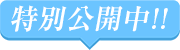特別公開中